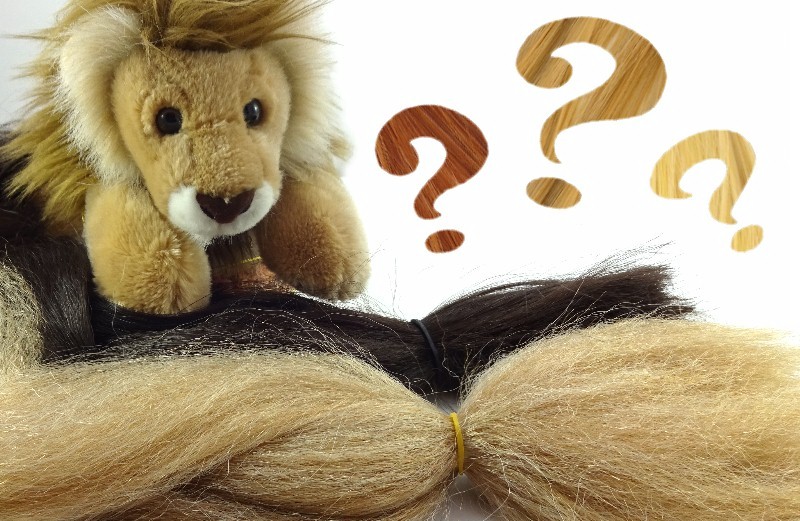 Image: A plush lion next to two packs of braiding hair